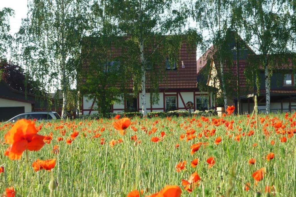 Апартаменты Erpelhaus Utzberg Экстерьер фото